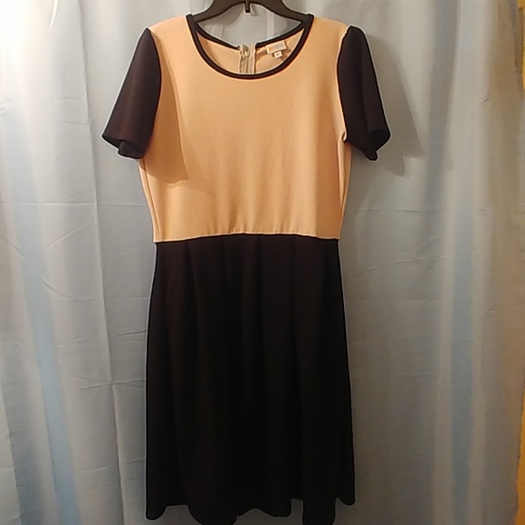 LuLaRoe Dresses & Skirts - Amelia